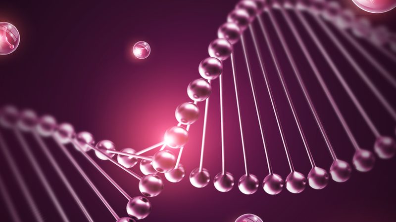 生物科技公司产品报价清单：揭秘报价背后的考量因素**