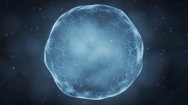 生物科技检测服务代理加盟，你了解这些关键点吗？**