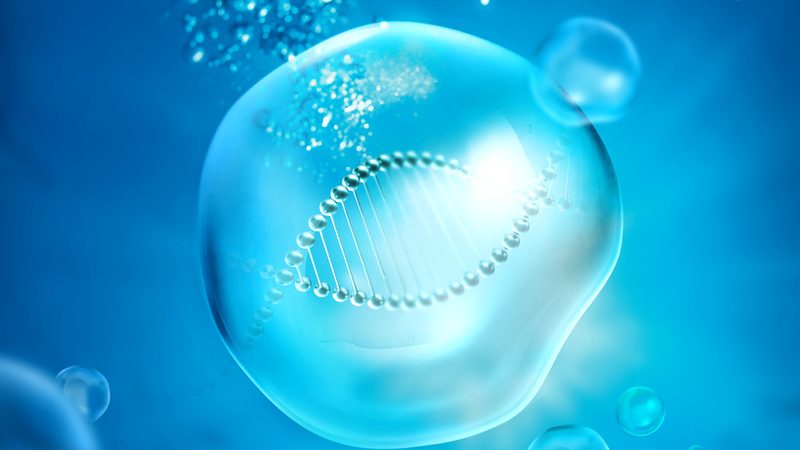 低糖DMEM培养基型号解析：揭秘其差异与应用