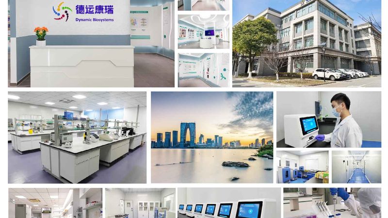 实验室细胞工厂材质分类：探索高效生产的秘密通道
