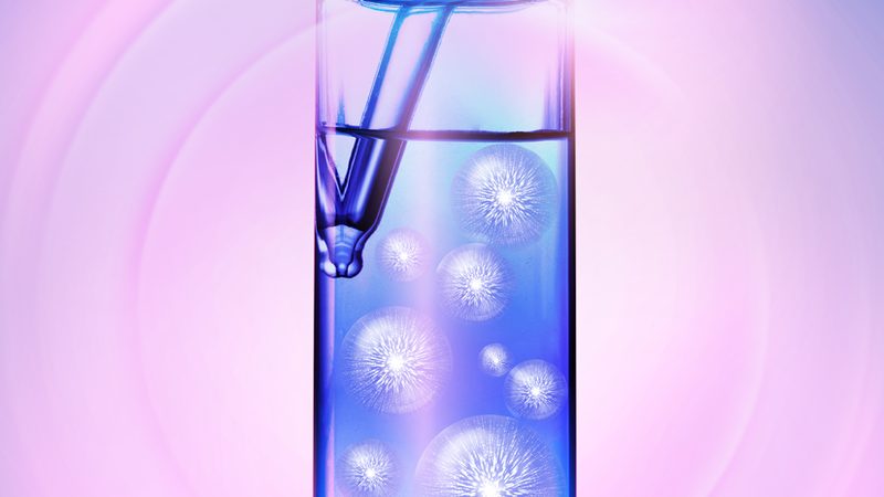 北京分子生物学试剂，如何挑选优质供应商？**