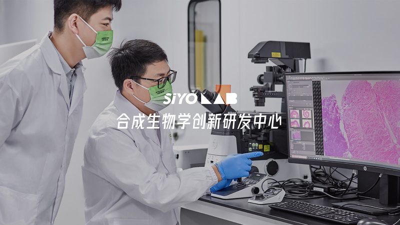 基因测序服务报价单：解码精准医疗的“价格之谜