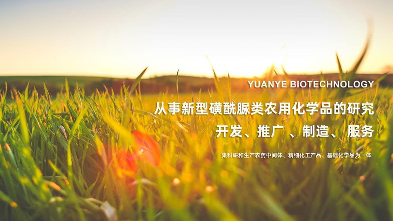 全基因组测序服务，报价背后的考量因素**