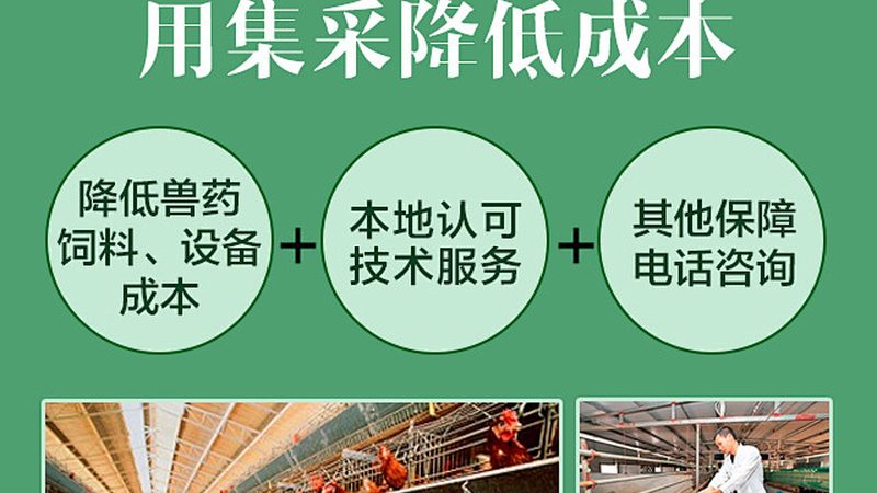 生物科技公司GMP车间规范：揭秘合规生产的秘密